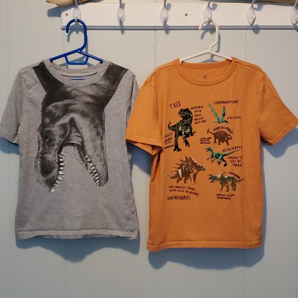 2 Dinosaur themed t-shirts